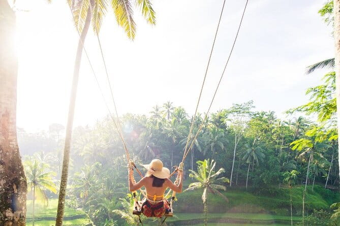 Discover Bali in 3 Days of Scenic and Cultural Delights - Price and Value: What $280 Actually Covers