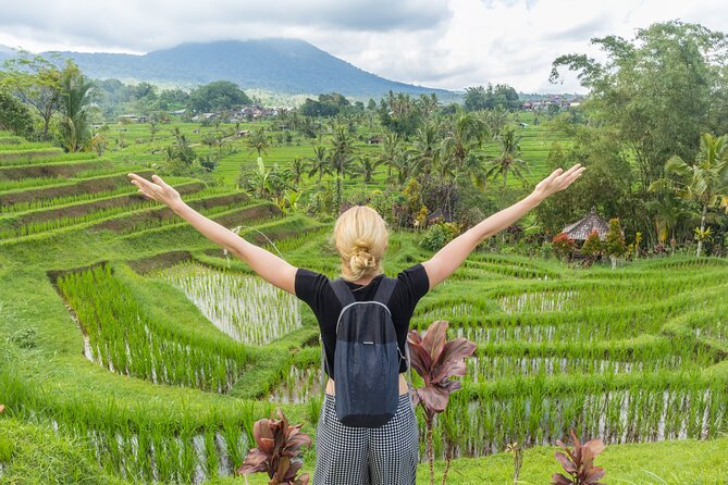 Discover Hidden Waterfall, Unesco Rice Terraces and Mountain Temple - Stop 1: Leke Leke Waterfall and the muddy jungle walk (plus bamboo bridges)