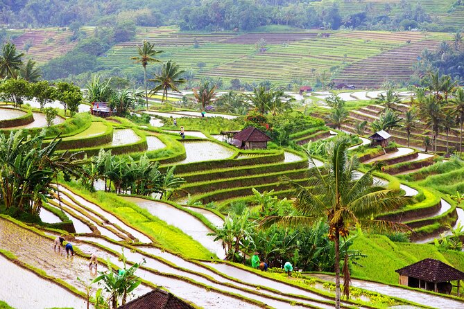 Discover Hidden Waterfall, Unesco Rice Terraces and Mountain Temple - Who this tour fits best (and who might want something else)