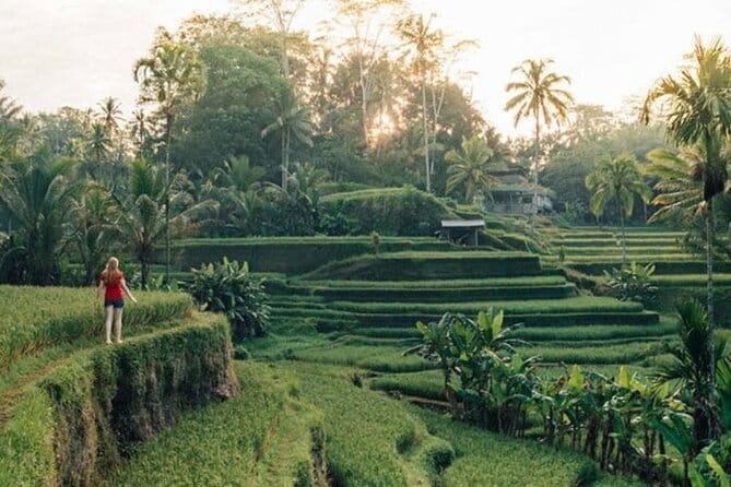 Discover The Best North of Bali with Private Guide Tour - Key Points Worth Knowing