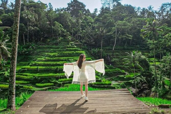 Discover The Best North of Bali with Private Guide Tour - Timing, Timing, Timing: How to Make This Day Work for You