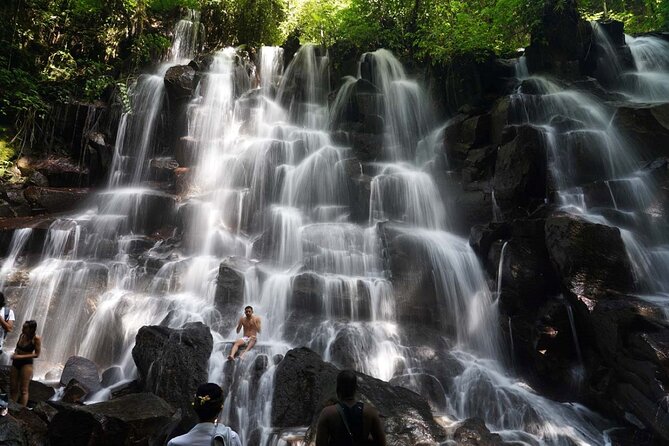 Discover the best waterfalls in Ubud and rice terraces tour - Sacred Monkey Forest Sanctuary: mossy jungle and 700 macaques