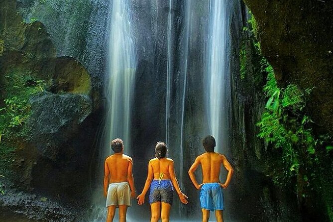 Discover the best waterfalls in Ubud and rice terraces tour - The guides: why “private” feels different here