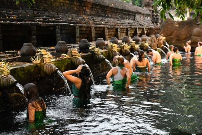 Discover Ubud: Exotism Ubud and Optional Meet the Bali Shaman - Price and Value: What $85 Actually Covers