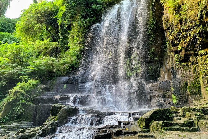 East Bali Lempuyang Temple Tirta Gangga and Waterfall Tour - Tirta Gangga Water Palace: royal ponds, garden walks, and a softer side of East Bali
