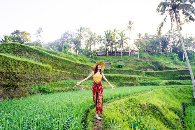 East of Bali Tour with Lempuyang Temple, Waterfall, Tirta gangga - Taman Sari Waterfall and natural pool: the cool-down you’ll feel