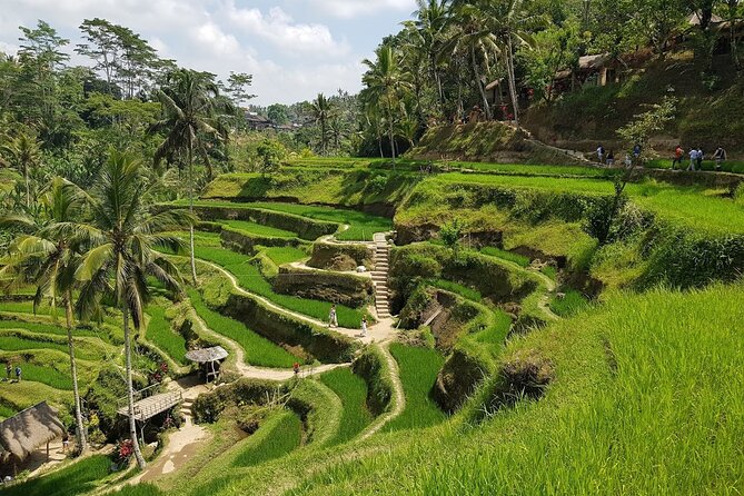 East of Bali Tour with Lempuyang Temple, Waterfall, Tirta gangga - The timing question: early start versus lower pressure