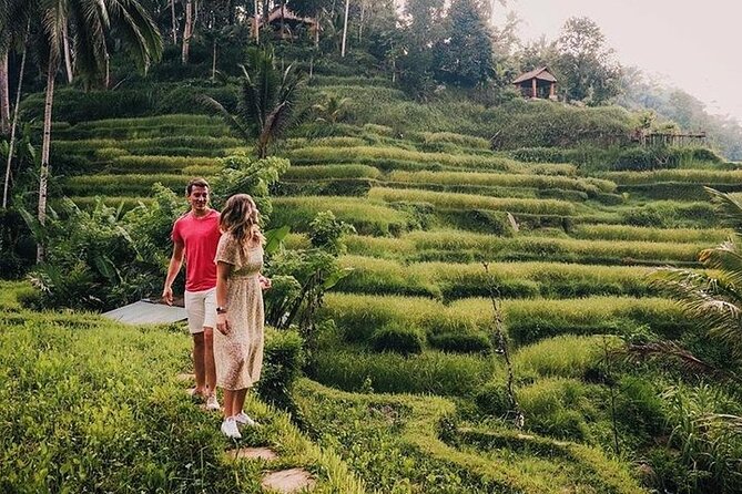 East of Bali Tour with Lempuyang Temple, Waterfall, Tirta gangga - How the 10-hour loop feels on the ground