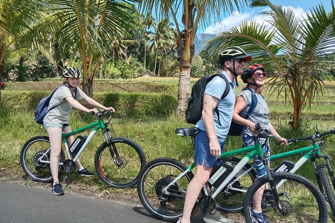 Electric bicycle tour in Jatiluwih UNESCO site - Key things that make this Jatiluwih e-bike tour work
