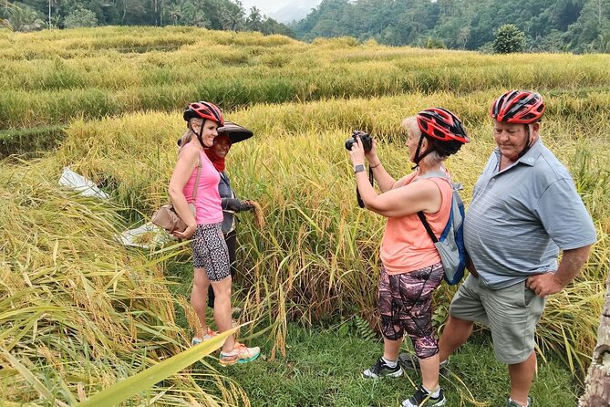 Electric bicycle tour in Jatiluwih UNESCO site - Why Jatiluwih by e-bike beats the usual Bali day out