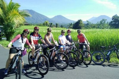 Electric bicycle tour in Jatiluwih UNESCO site - UNESCO rice terraces: what to notice besides the view