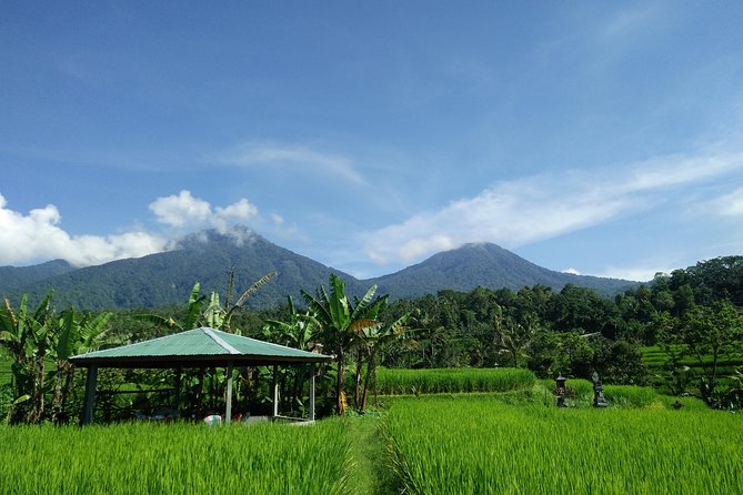 Electric bicycle tour in Jatiluwih UNESCO site - Price and value check for a $75 Bali e-bike day