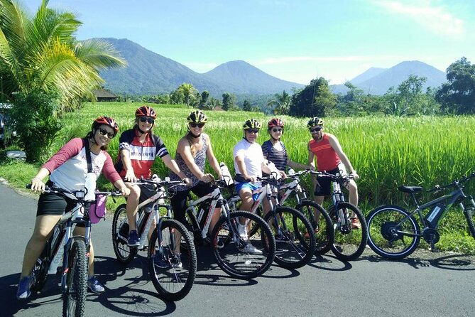 Electric bicycle tour in Jatiluwih UNESCO site - UNESCO rice terraces: what to notice besides the view