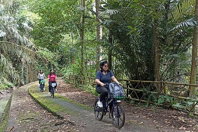 Electric bicycle tour in quaint South Ubud - Key points before you go