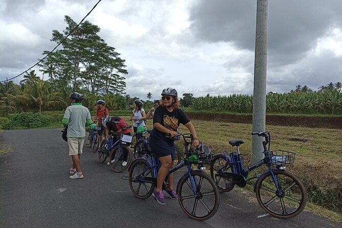 Electric bicycle tour in quaint South Ubud - Electric-assist makes South Ubud feel doable