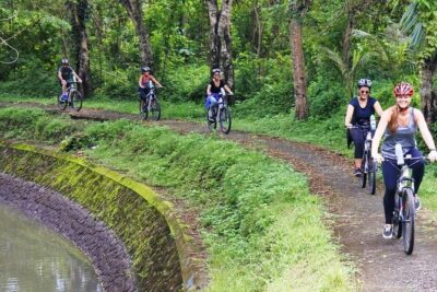 Electric bicycle tour in quaint South Ubud - Mambal: rice fields, farm roads, and the Ayung River