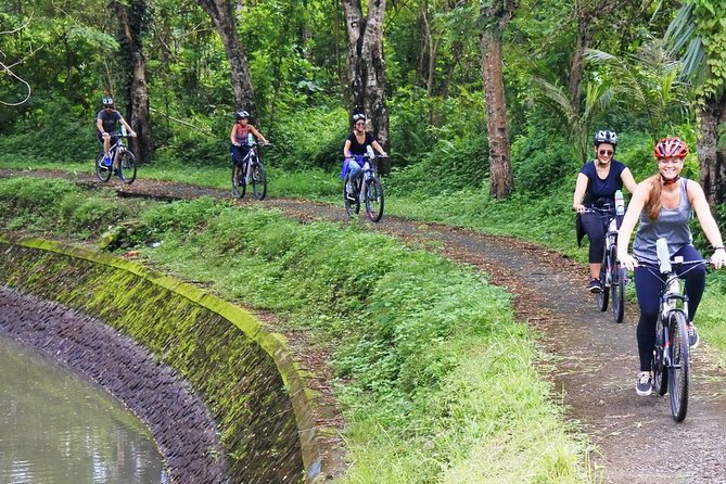 Electric bicycle tour in quaint South Ubud - Mambal: rice fields, farm roads, and the Ayung River