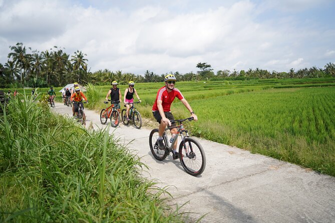 Electric Bike and Swing Package - Key Highlights You’ll Care About