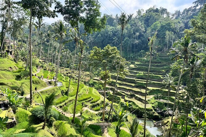 Exclusive Ubud Experience: Nature, Culture & Adventure in One Day - Tegenungan (Tukad Cepung) waterfall time: swim, splash, and refresh