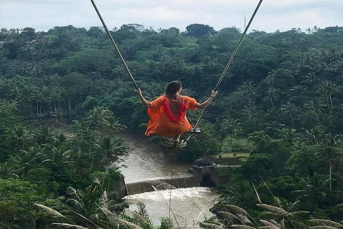 Experience Full Day to Bali Swing Temple and Monkey Forest - Key things I’d pay attention to