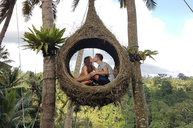 Experience Full Day to Bali Swing Temple and Monkey Forest - Your pickup and transport: the real value in a private day