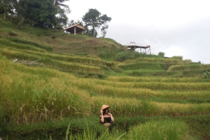 Experience Full Day to Bali Swing Temple and Monkey Forest - Fitness, weather, and practical expectations for a smooth day
