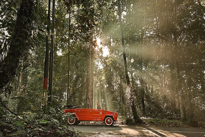 Explore Bali's Hidden Gems In a Classic Vw Convertible - Comfort, timing, and weather in an open-air VW