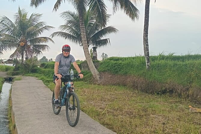 Explore Rice Fields and Hidden Villages with Ubud E-Bike Tour - Stop 3: Tegalalang Rice Terrace for About an Hour (Included Admission)