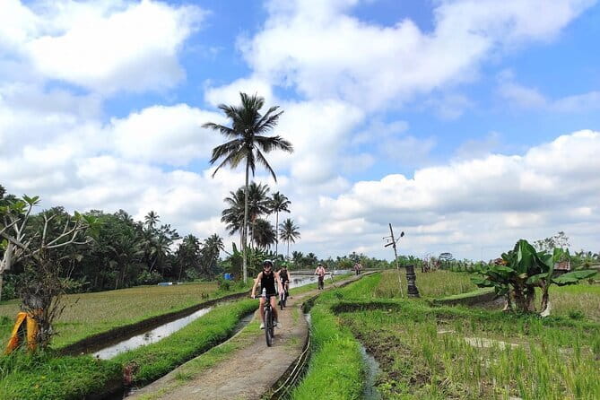 Explore Rice Fields and Hidden Villages with Ubud E-Bike Tour - Food, Photos, and the Guide Touch (Where This Tour Wins)