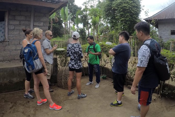 Explore Ubud with Electric Bike - Why This Half-Day E-Bike Tour Works So Well in Ubud