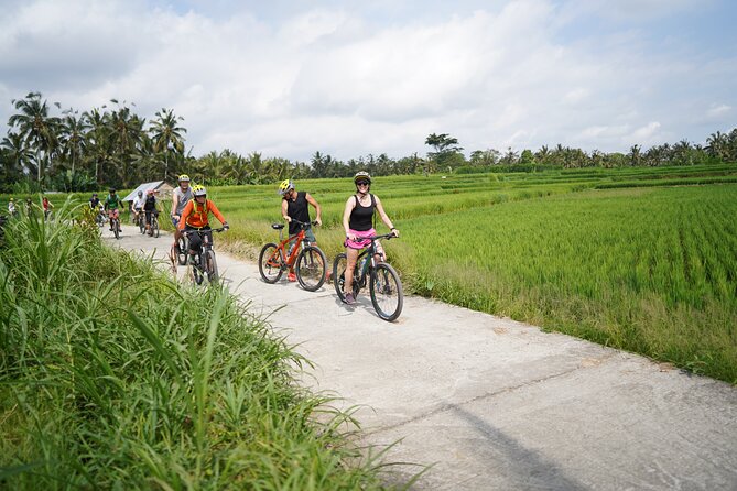 Explore Ubud with Electric Bike - Price and Value: Is $34 Worth It?