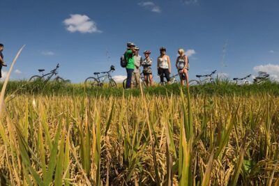 Explore Ubud with Electric Bike - E-Bikes, Wet Weather Gear, and Instructor Support