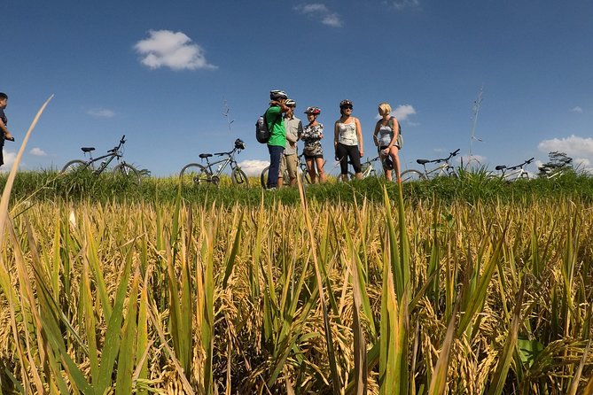 Explore Ubud with Electric Bike - E-Bikes, Wet Weather Gear, and Instructor Support