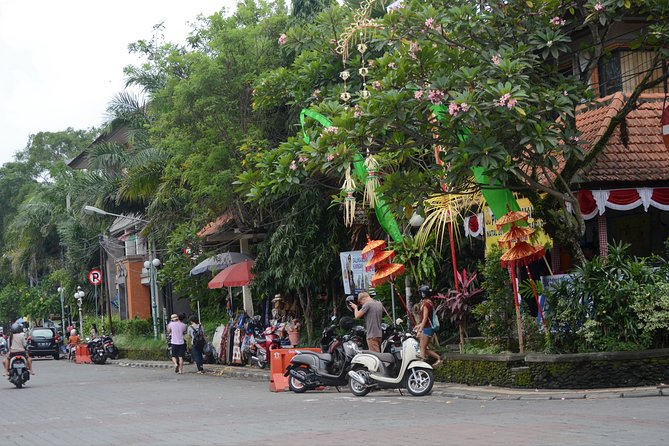 Famous Ubud villlage and Dance Tour with Rice Terrace And Waterfall Visit - Bali Pulina coffee plantation: civet coffee in plain terms