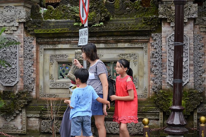 Famous Ubud villlage and Dance Tour with Rice Terrace And Waterfall Visit - Price and logistics for a full-day private tour