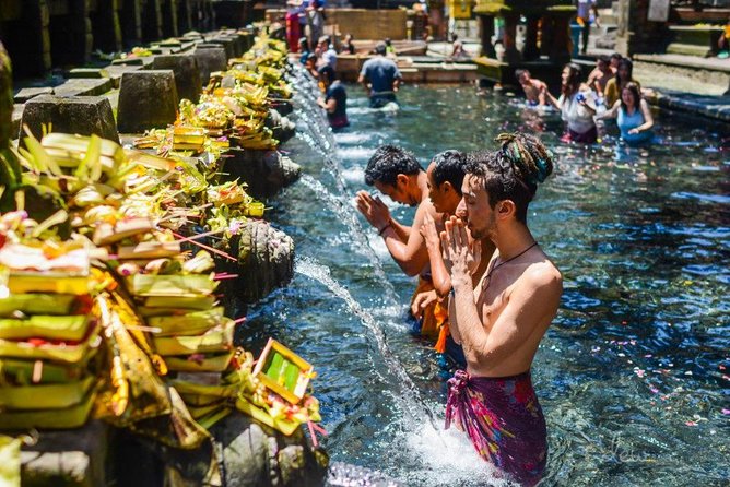 Fantastic Ubud Tour with Jungle Swing - Tegalalang Rice Terraces: the classic view with a guide’s context