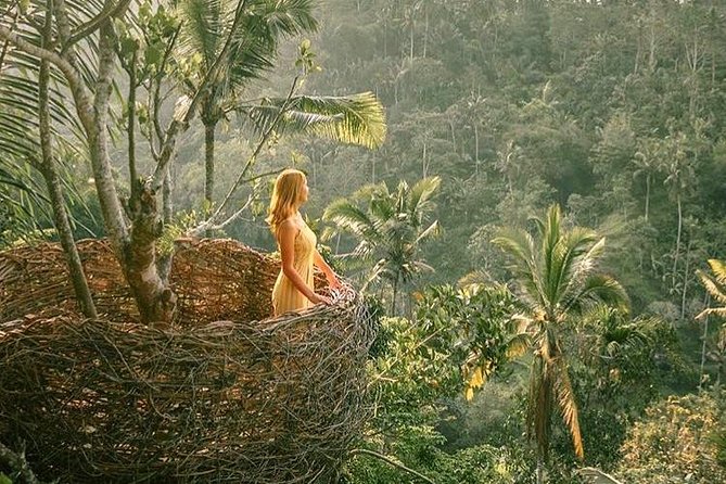 Fantastic Ubud Tour with Jungle Swing - What you pay ($32) includes, and what you’ll still need to budget