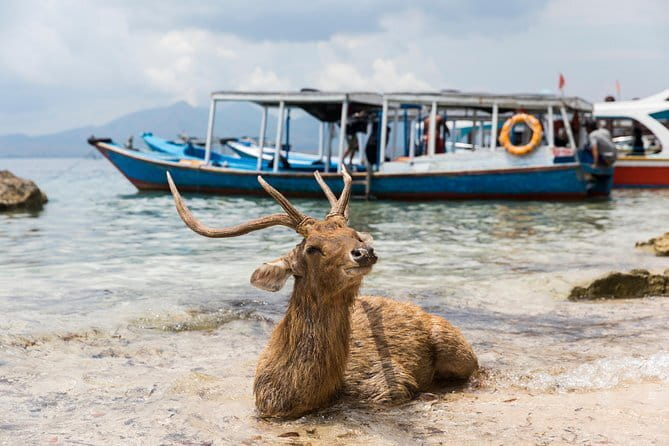 Fastboat to Gili Trawangan or Gili Air - Your Island Window: About 3 Hours on Gili Trawangan or Gili Air