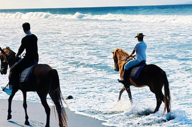 From Ubud 1 Hour Horse Riding at The Beach Experiences - Beach Horse Riding Near Ubud: What It Feels Like