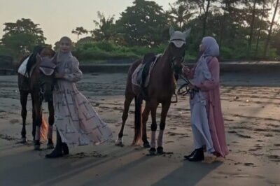 From Ubud 1 Hour Horse Riding at The Beach Experiences - Getting There From Ubud: Pickup, Drive, and Timing