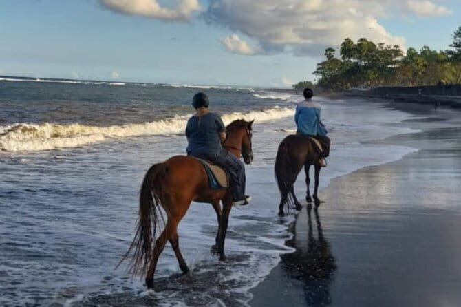 From Ubud 1 Hour Horse Riding at The Beach Experiences - Price and Value at $54.76 Per Person