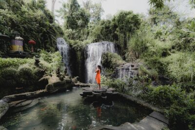 Full Day Bali Experience with Blessing Tour - Ubud Traditional Art Market: street food, souvenirs, and movie-famous vibes