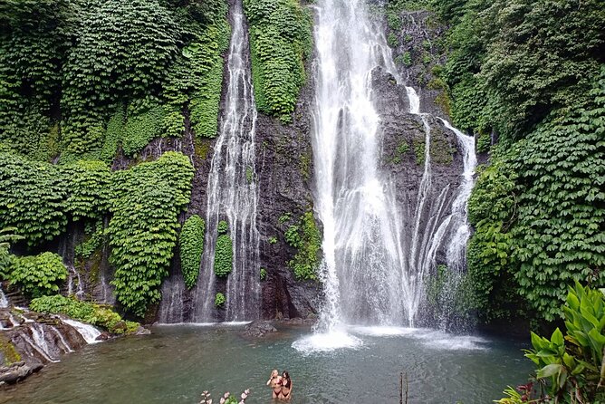 Full Day Bali North West Tour - Waterfall and Scenic Site - Lunch included: a small detail that actually improves the whole day