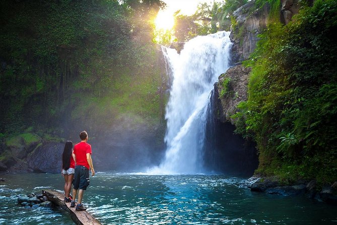 Full-Day in Bali: Amazing Ubud Tour - Optional add-ons near your hotel: how to customize without extra cost