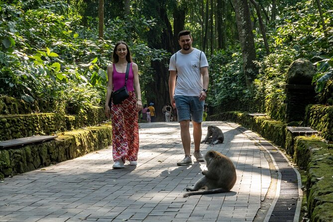 Full-Day Private Car Charter in Bali with Local Guide - Who this private Ubud charter is best for