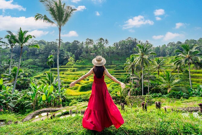 Full-Day Private Car Charter in Bali with Local Guide - Your day around Ubud: how the stops fit together