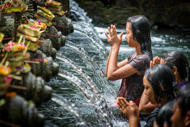 Full-day Private Cultural Tour of Ubud in Bali - Key highlights to know before you go