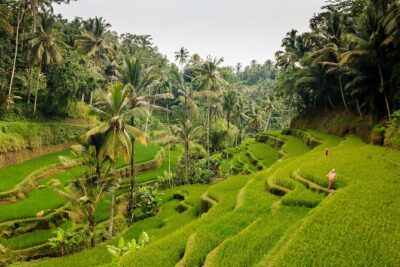 Full-Day Private Guided Exploring Bali as You Wish Tour - Price and Value: What $31.40 Buys for 10 Hours in Bali