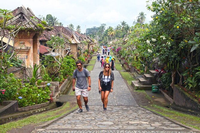 Full-Day Private Guided Exploring Bali as You Wish Tour - Waterfalls and Elephant Cave: Nature Stops That Need Good Route Planning