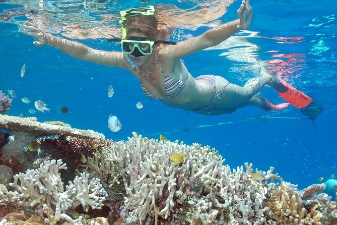 Full-Day Tour in Nusa Penida Island + Snorkeling Experience - Key things I’d circle before booking